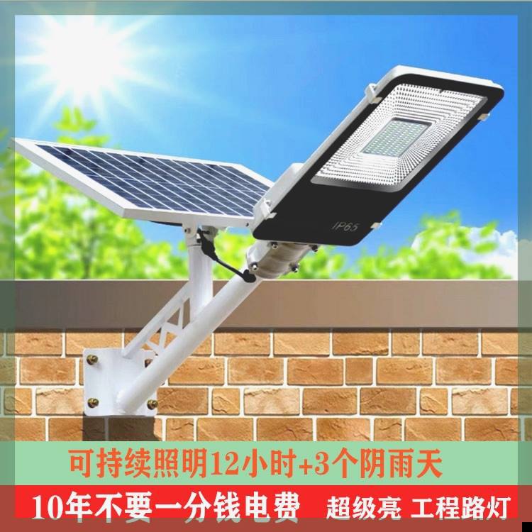 6米led太阳能路灯12v户外户外灯工程灯室内外新农村太阳能灯感应|ms