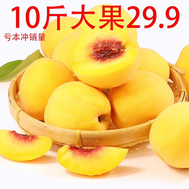 安徽砀山新鲜黄桃水果10斤装现货现摘桃子当季时令脆桃毛桃水果|ms