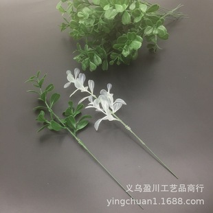 24����3�����ϲ� �����}�Q�~Ƭ����ֲ��Gֲ�٘��}�Q���b��