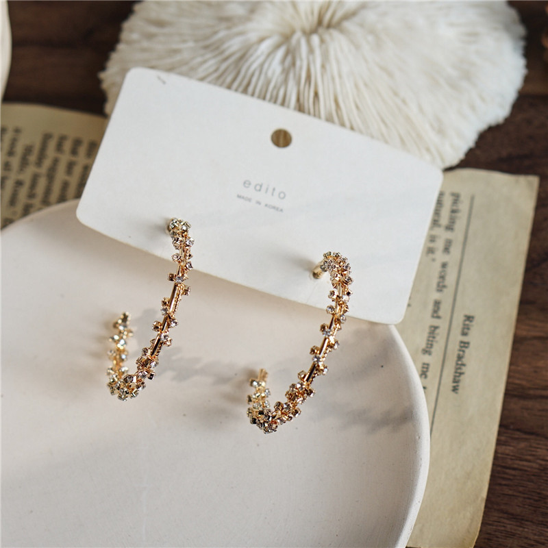 Stylish Earrings 10