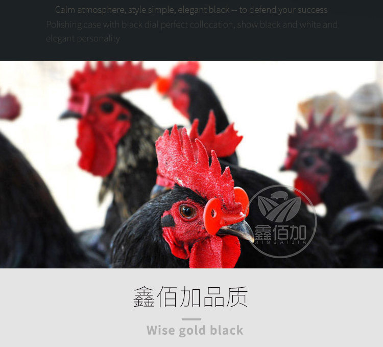 鸡眼镜BA详情页 (2).jpg