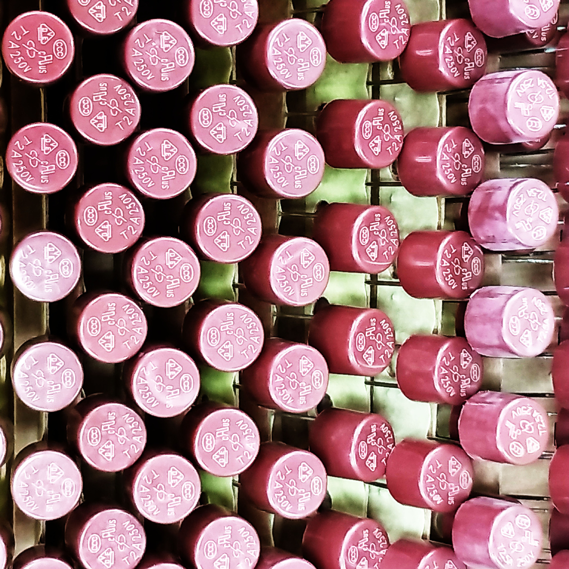 旭程保险丝 XC保险丝 圆形保险丝 5TR2A250V 5TR3.15A250V