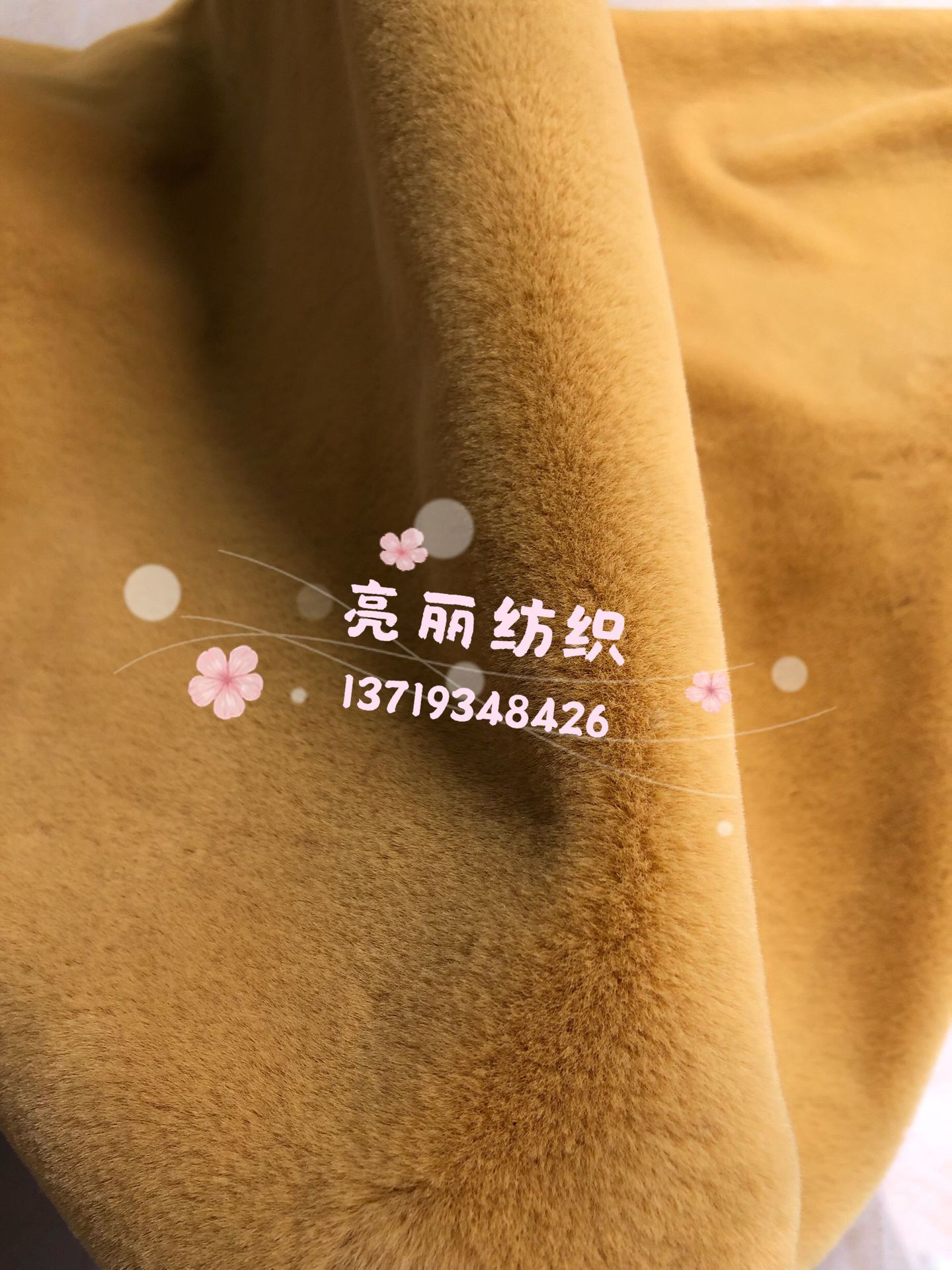 兔貂8