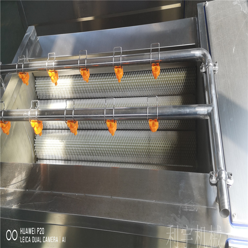 食用菌气喷淋洗机 全自动连续食用菌机器 果蔬清洗设备