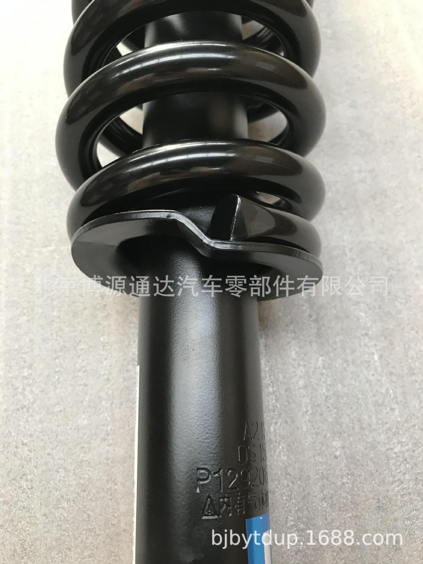 P1292060031A0 (5).JPG