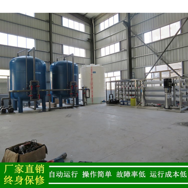 厂家直销 反渗透纯水设备 大型反渗透系列 大型纯净水处理设备