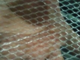 厂家供应PE三色沐浴网挤出设备软网挤出设备沐浴球挤出设备