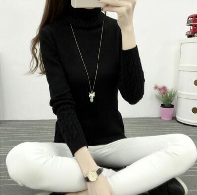 women's turtleneck sweater bottoming shirt twist pullover thickened slim knitted sweater