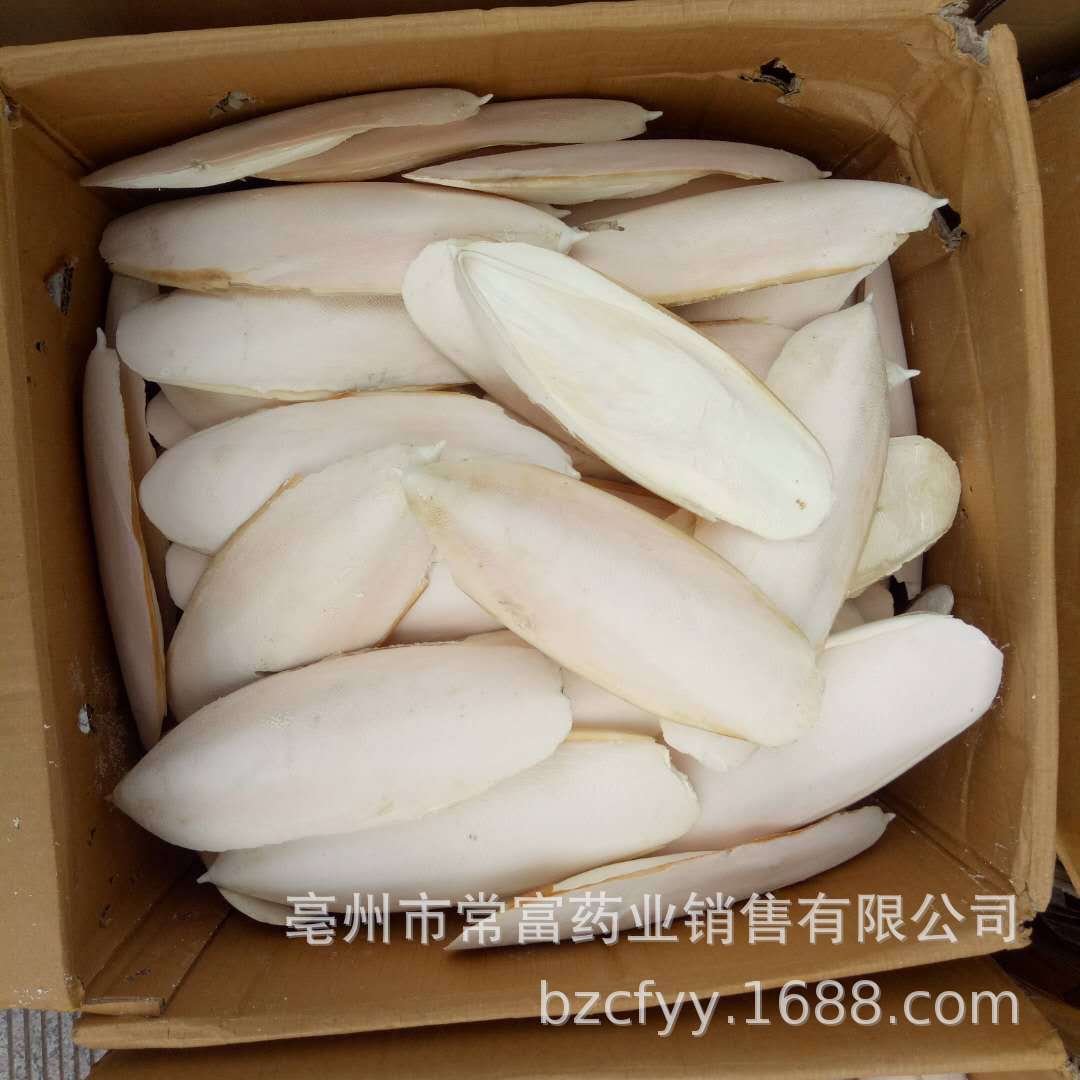 Cuttlebone Hai Piao Xiao 海螵蛸 Dried Cuttlefish Bone 500g Natural Sun Dried Whole Form specifications