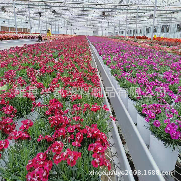 微信图片_20190731114907