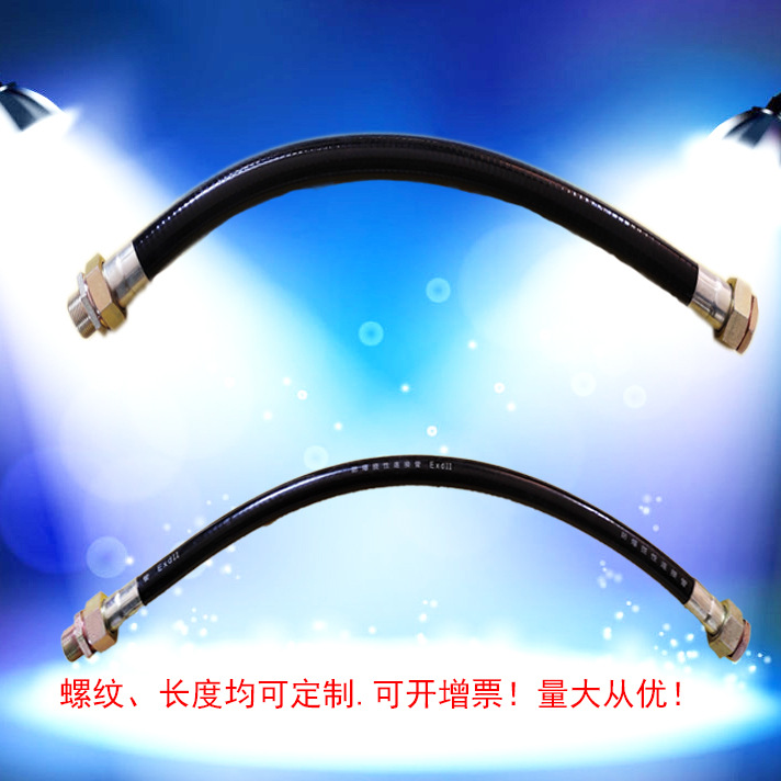 Explosion proof flexible pipe AN-32*1000