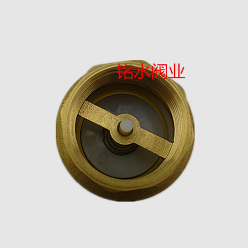 Copper belt mesh check valve/copper bottom valve water pump bottom valve/suction valve vertical check valve with filter 4 minutes to 1 inch