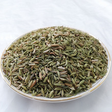 aجF؛CС500g{lҜu{ζƷu