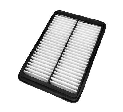 filter maintenance, Air filter
