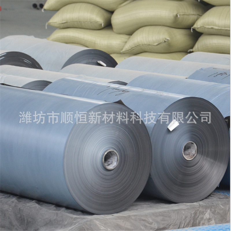 抗高温pe硅油隔离膜 聚乙烯pe膜 厂家生产