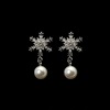 Silver needle, swan, fashionable metal earrings from pearl, silver 925 sample