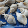 21-44mm imitation conch shell-shaped plastic bead shell beads DIY shell bead beaded beaded beaded holes conch
