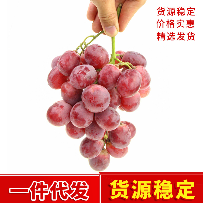 美国进口珍珠有籽红提2斤新鲜甜提子葡萄水果发顺丰空运|ms
