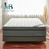 Liv Bet the republic of korea Original import latex Spring mattress Simmons mattresses Double A11 International standard