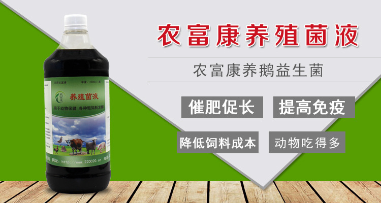 网上这么多养鹅em菌生产厂家哪个正规