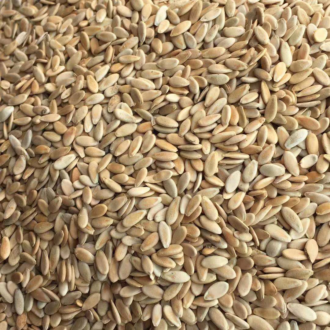 Low Temperature Roasted Muskmelon Seeds Xiang Gua Zi 500g Edible Seed Snack and Grinding Ingredient specifications