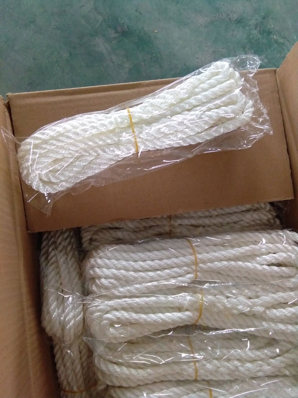 fender line package WH