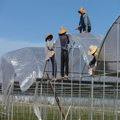 Foshan factory ageing Agriculture pe Hyaline film Plastic greenhouse Film Sunscreen film pe Films