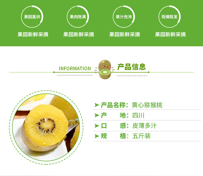 黄心猕猴桃_02.jpg