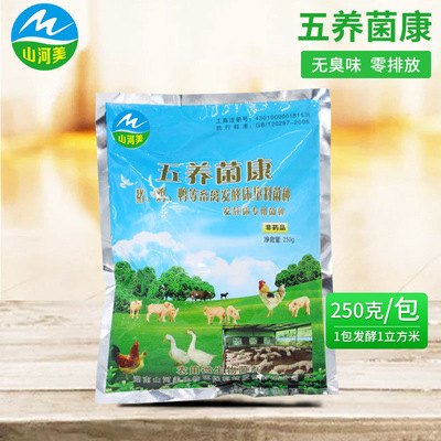 Five raise Agriculture microorganism animal Fermentation bed strain Pig Cattle Raising chickens Fermentation bed strain