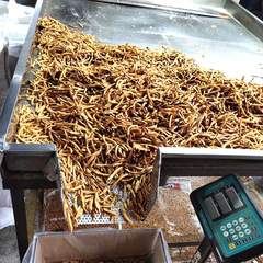 炒紅薯條12斤散裝農家脆紅條連城地瓜干福建特產 廠家批發代發