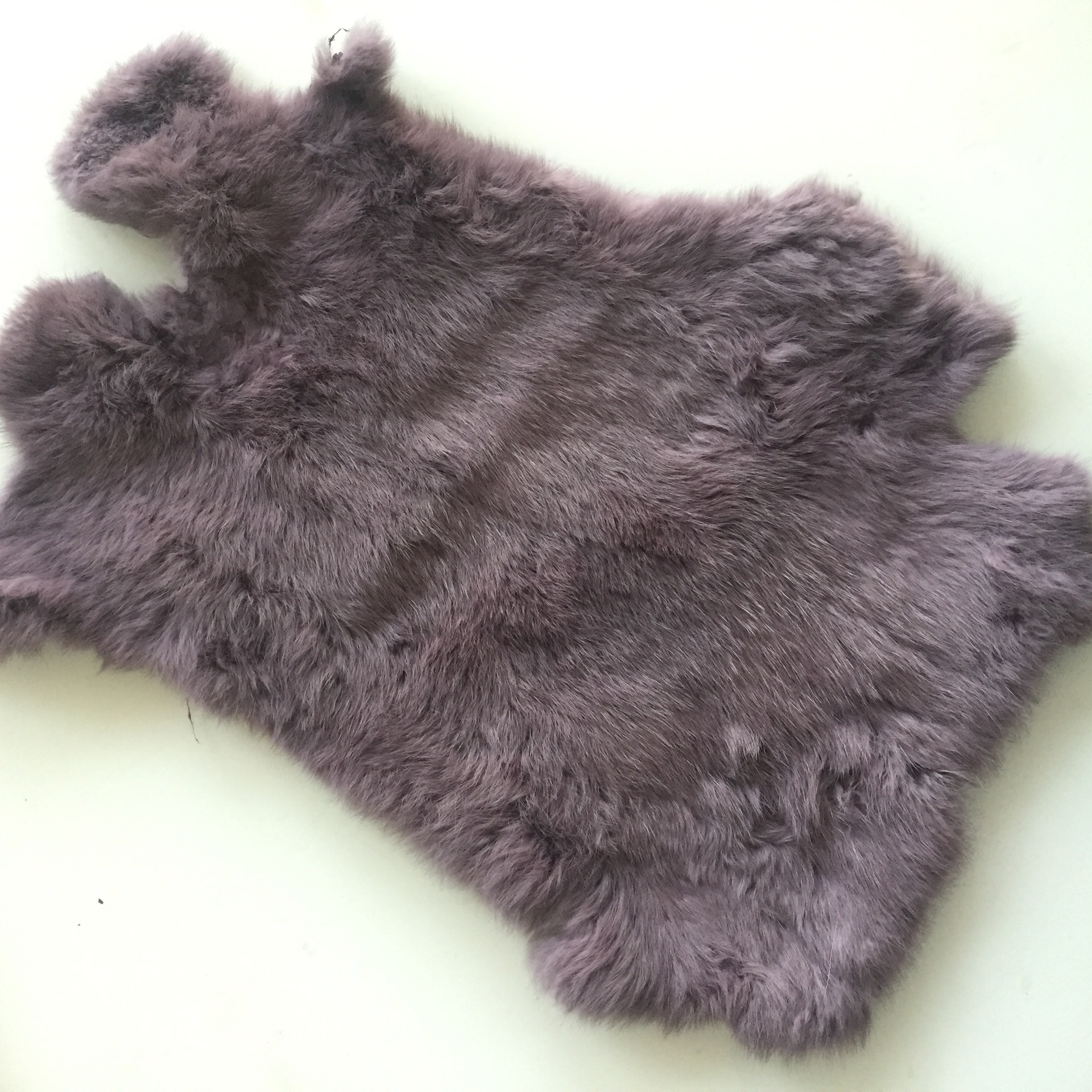 微信图片_201903061102123