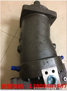 轴向柱塞泵-柱塞泵-马达L8V28ERC1.1R101F1