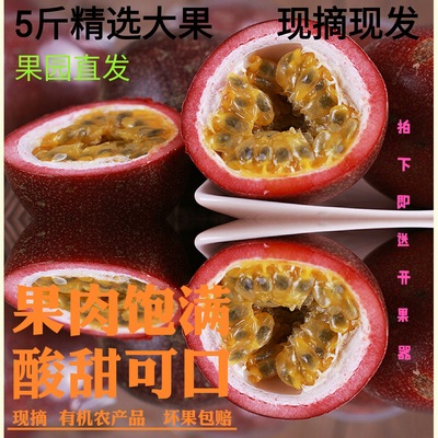 广西凤源高山百香果大红果5斤包邮水果鸡蛋果酸爽多汁新鲜现摘现|ms