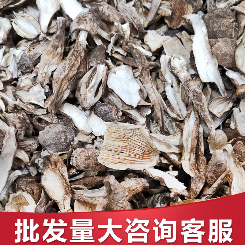 [Buy wholesale]specialty dried food lawyer's wig Supplier Manufactor Direct selling Mushroom mushrooms dried food Mushroom
