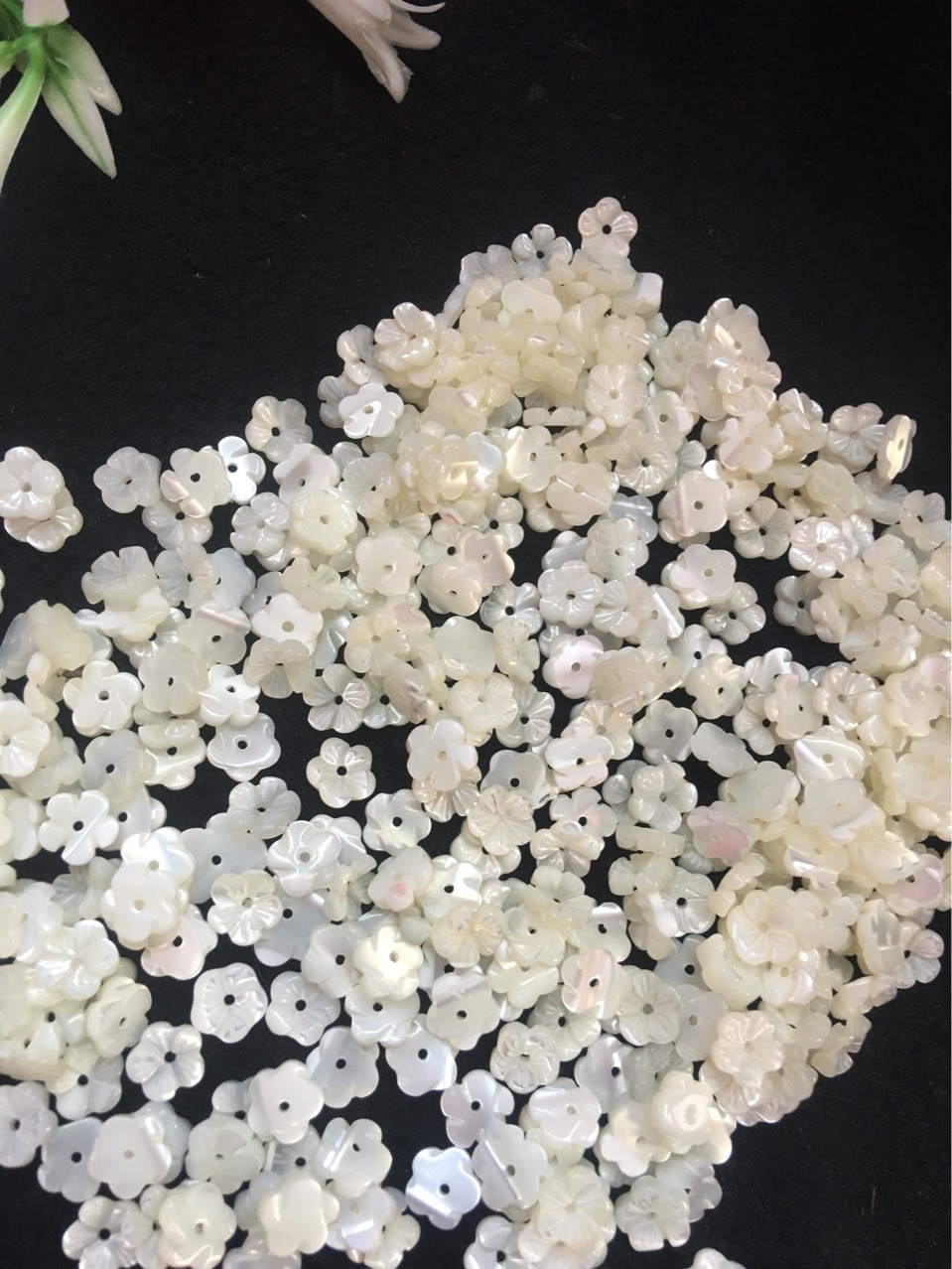 1 Piece Quantity 1 Piece Diameter 10mm Diameter 8mm Shell Flower DIY Jewelry Accessories Beads