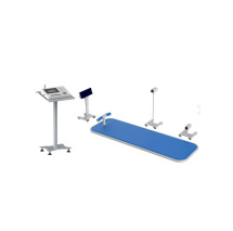 仰卧起坐检测仪 型号：H17088