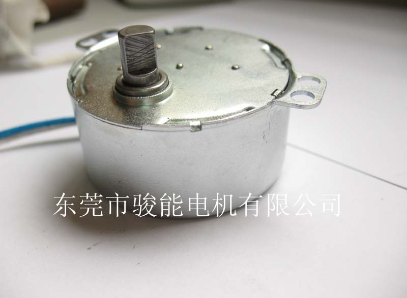 爪极式TY-50永磁同步电机 微电机 家用烤箱过胶机电机生产厂家