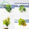 Small plants Artificial Plants Micro Landscape Plastic flowers background Botany Lucky clover Landscaping Botany
