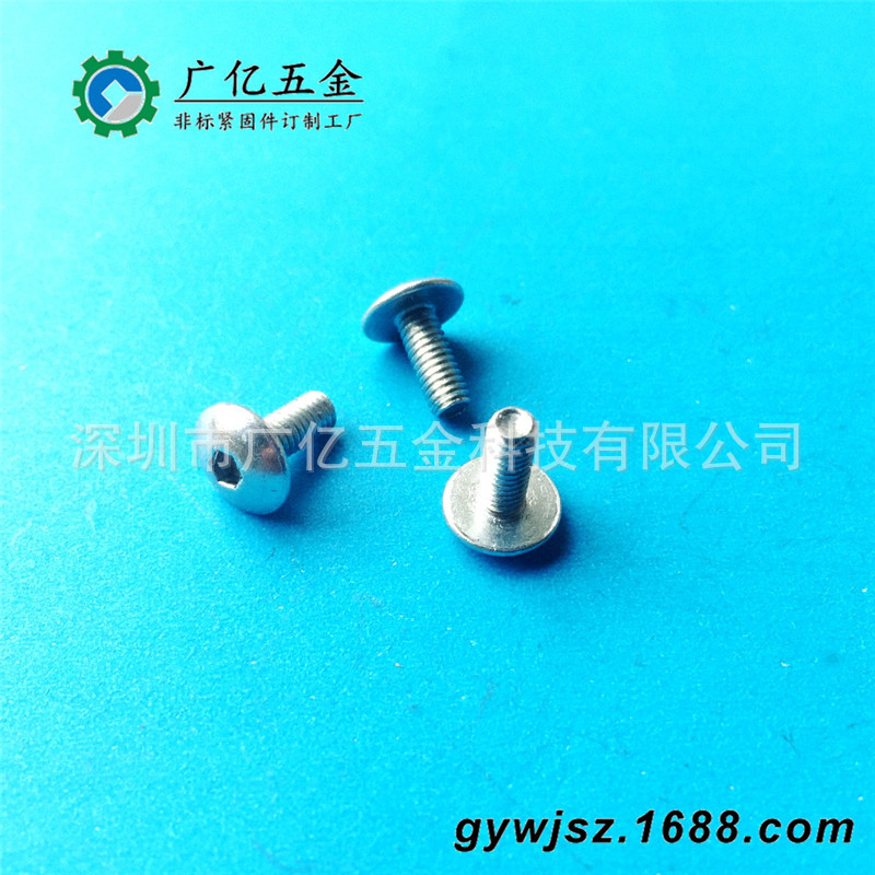 铝合金螺钉  非标铝质螺丝钉  黄铜螺钉  超长不锈钢螺丝