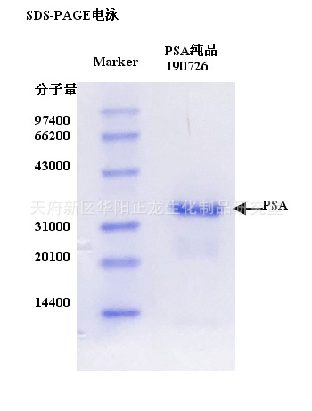 PSAƷ-0.1MG