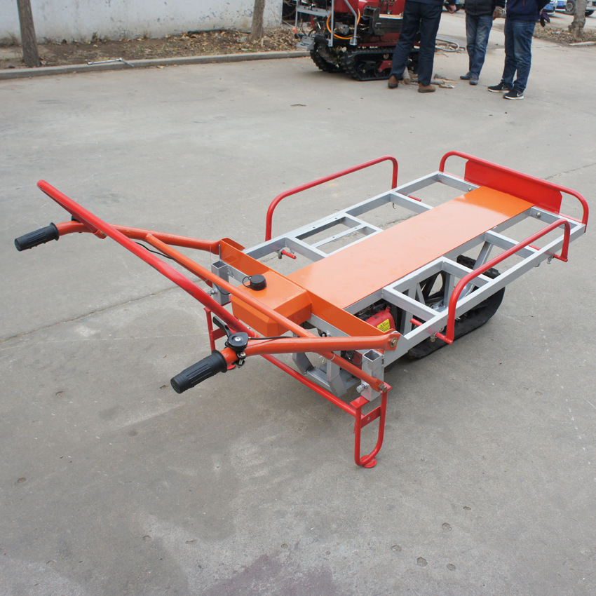 7984908283_498371388