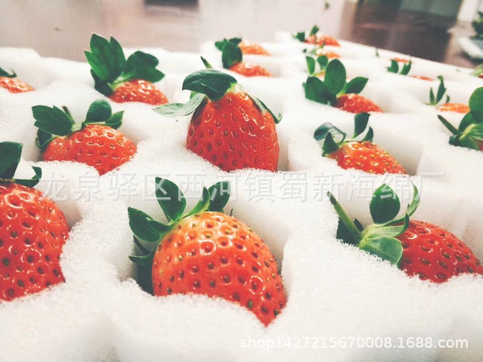 厂家直销猕猴桃水果草莓快递防震包装海绵泡沫/定制草莓包装