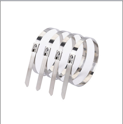 304不锈钢 滚珠自锁式不锈钢光带