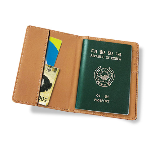 Korean version map PU passport bag travel document passport holder creative internet celebrity color passport cover document bag hot sale