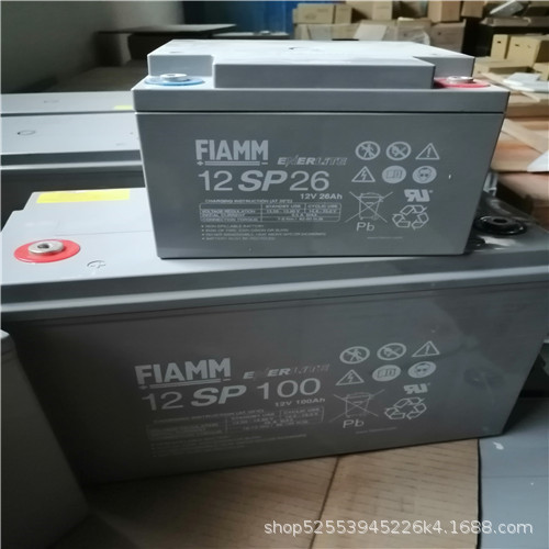 FIAMM非凡蓄电池12SP100 非凡免维护12v100ah 代理/报价