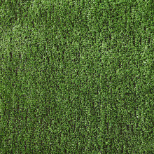 �����ƺ�����ƺ���ϼپGֲ�׃��@�˹���Ƥ�����bGɫ��̺�|��