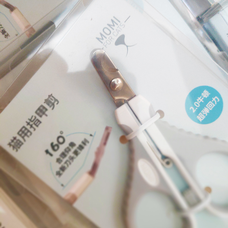 IMG_20190516_160906B