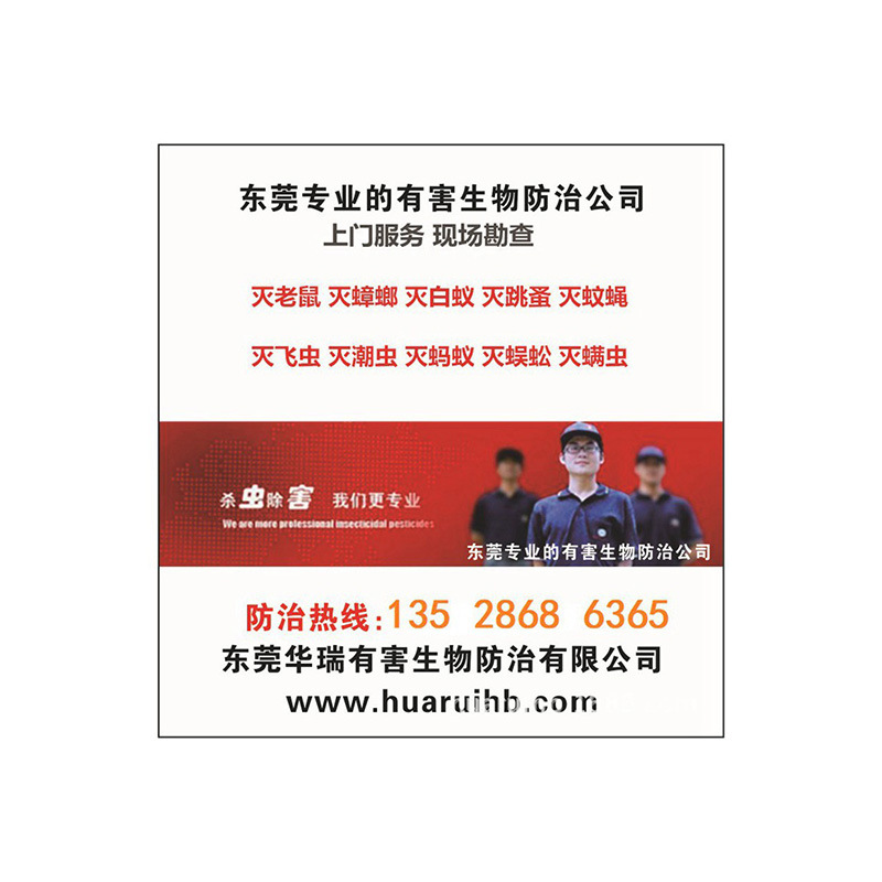 Huarui pest control,Dongguan Insecticidal Rodent Termite control,Bedbug killing,Reasonable charge,Good service