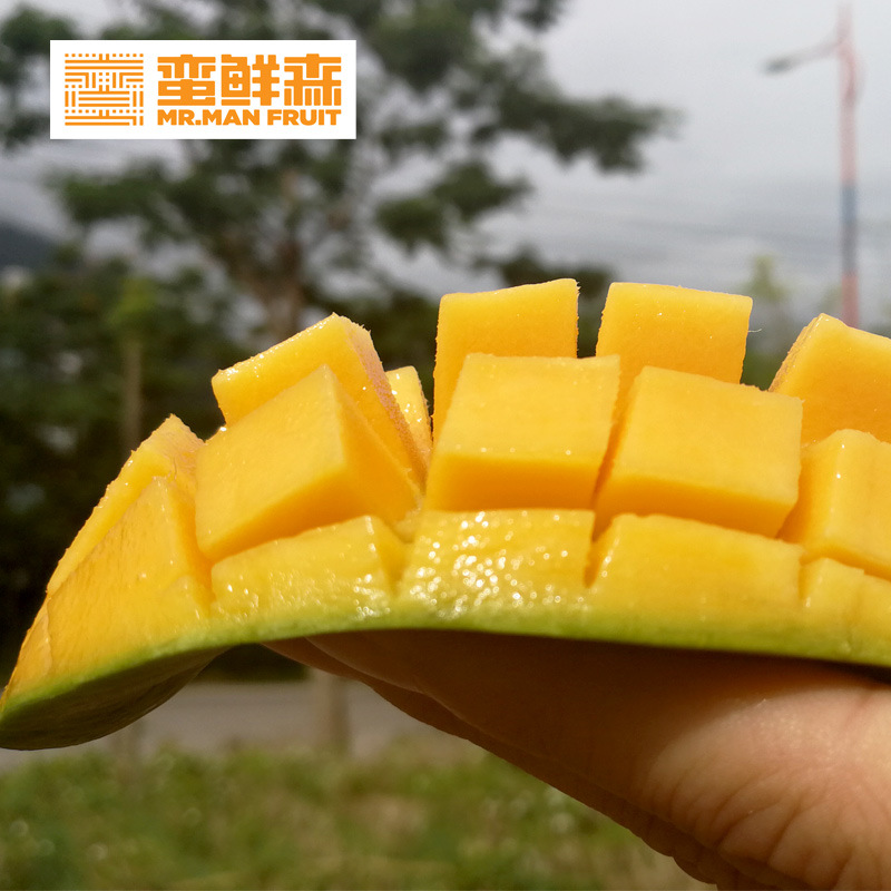 云南桂七非广西桂七芒果8斤包邮蕉绿香芒应季鲜果现摘新鲜水果|ms