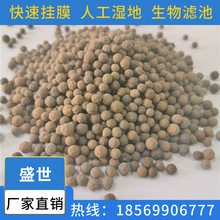 V VBAFؚV؞V  ~˹ˮʢS